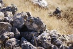 pile-of-rocks